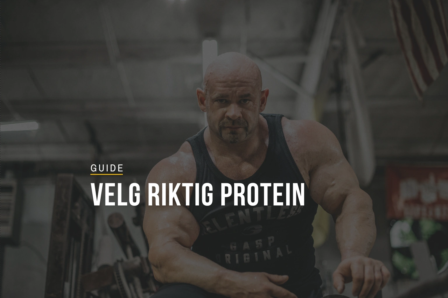 Proteinpulver-guide